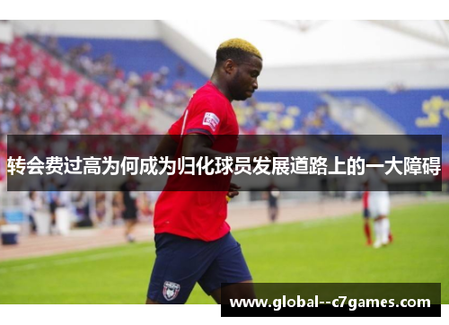 转会费过高为何成为归化球员发展道路上的一大障碍 转会费过高为何成为归化球员发展道路上的一大障碍